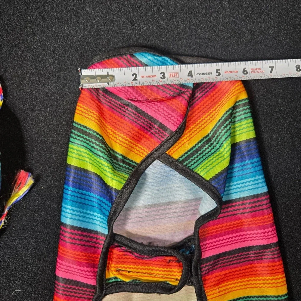 Rainbow Striped Dog Poncho and Sombrero Set Pet Costume Small Medium Festive
